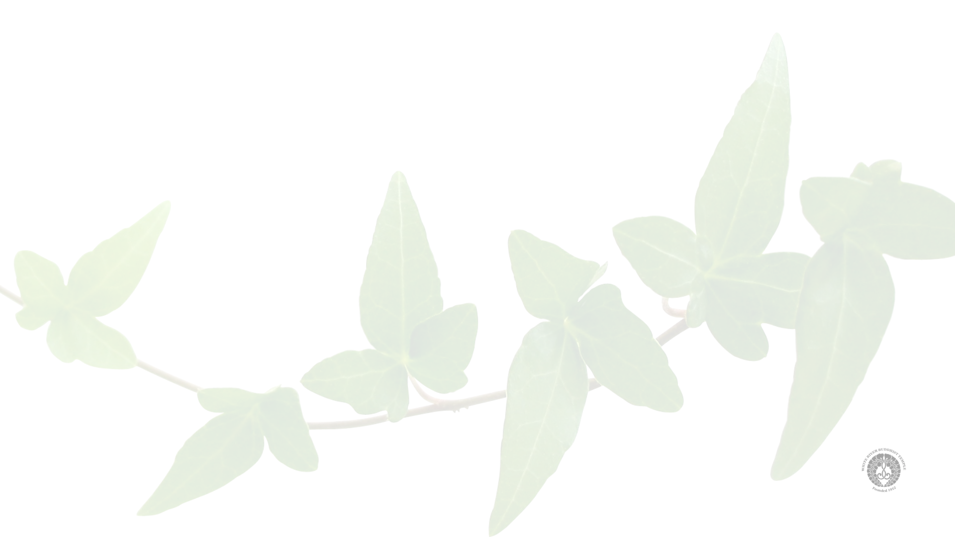   Annual Plant Sale   May 2, 2026 | 9 am - 1 pm   Learn More  