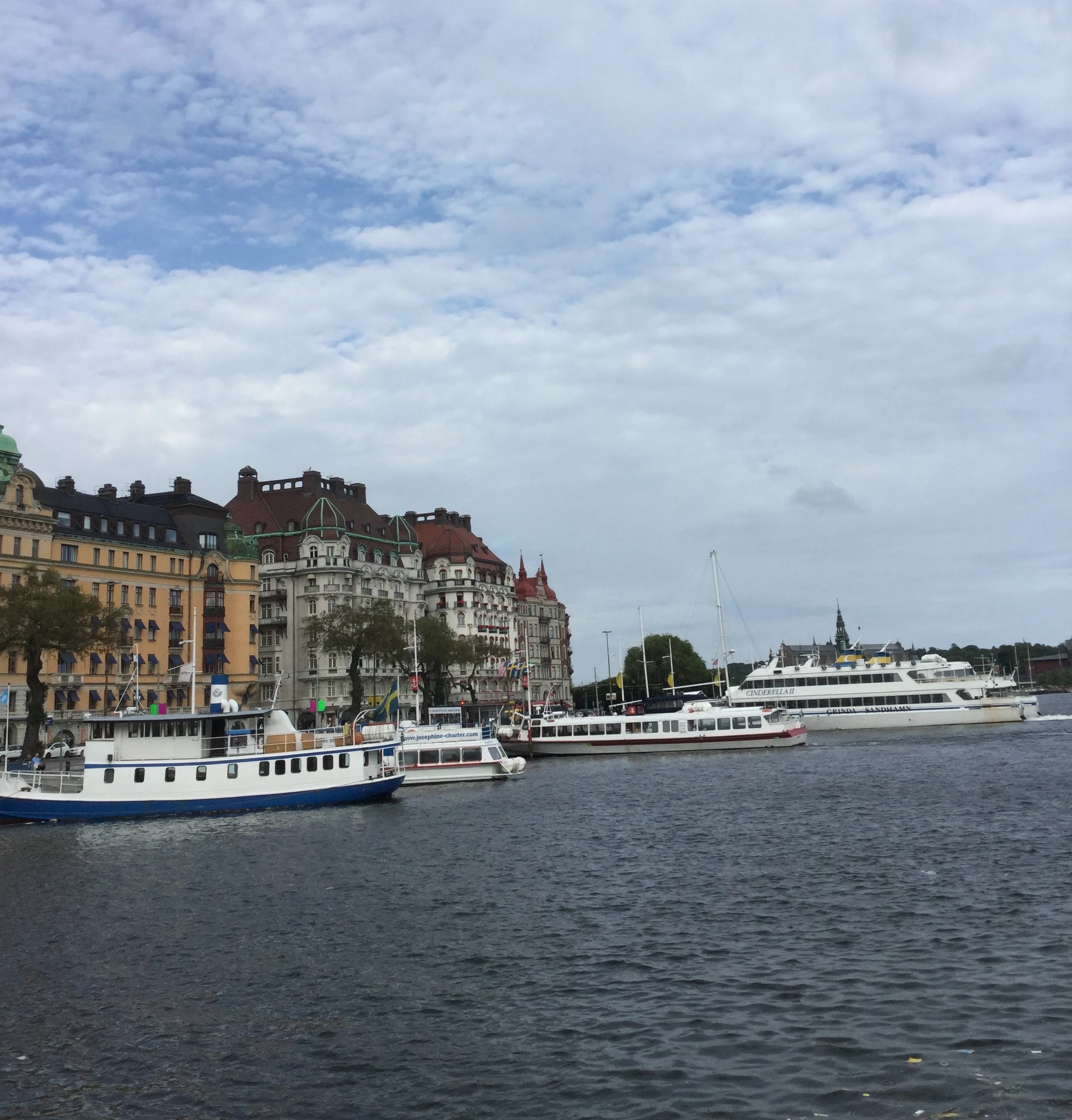 FFF1EA5E-1E57-4A00-911A-713C6007CD4F.jpg