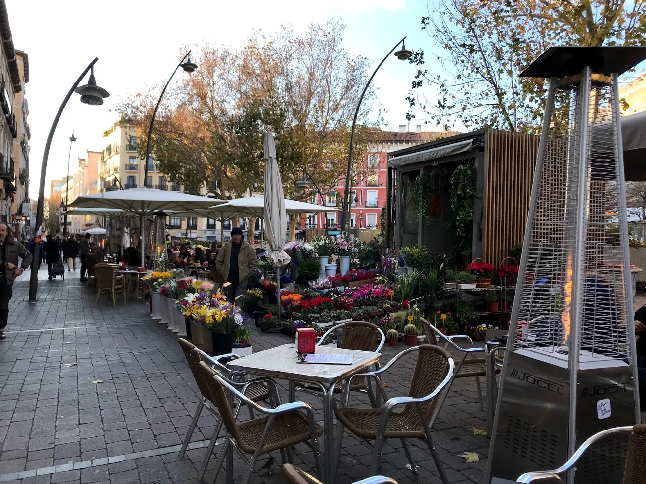 IMG_8877.jpg