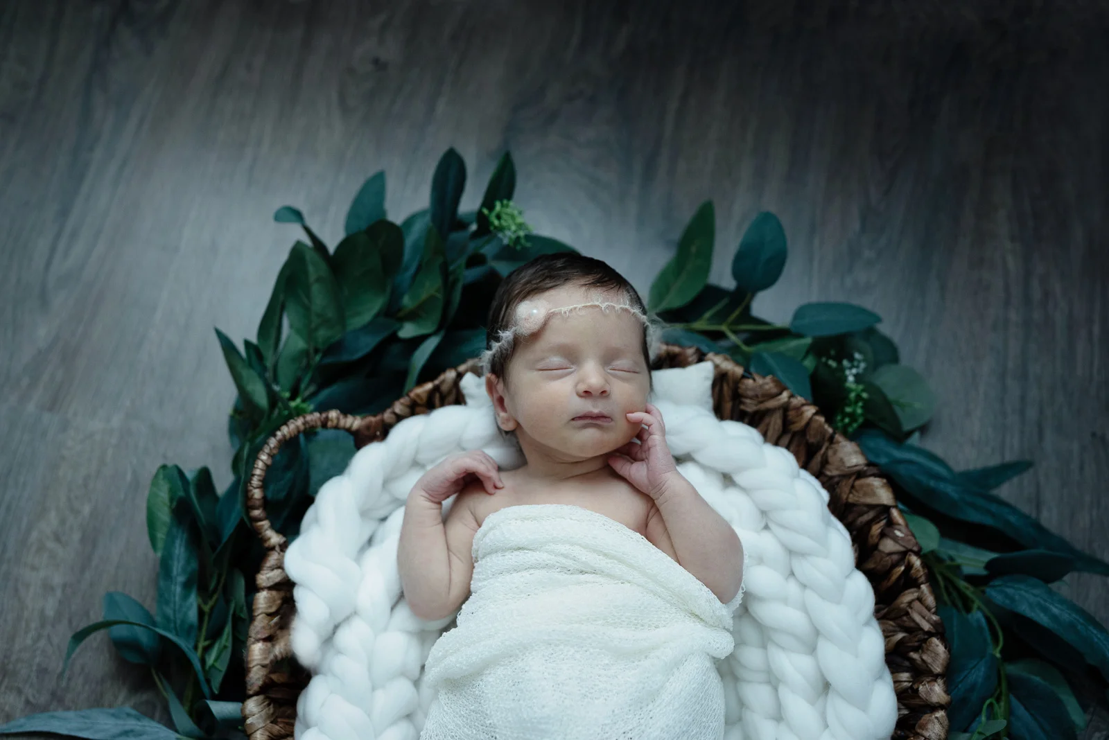 Newborn Portraits