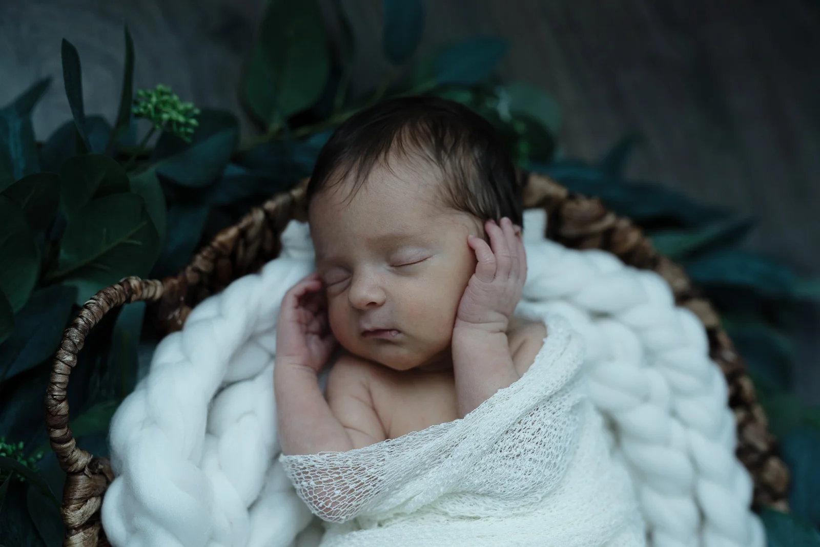 Newborn Portraits