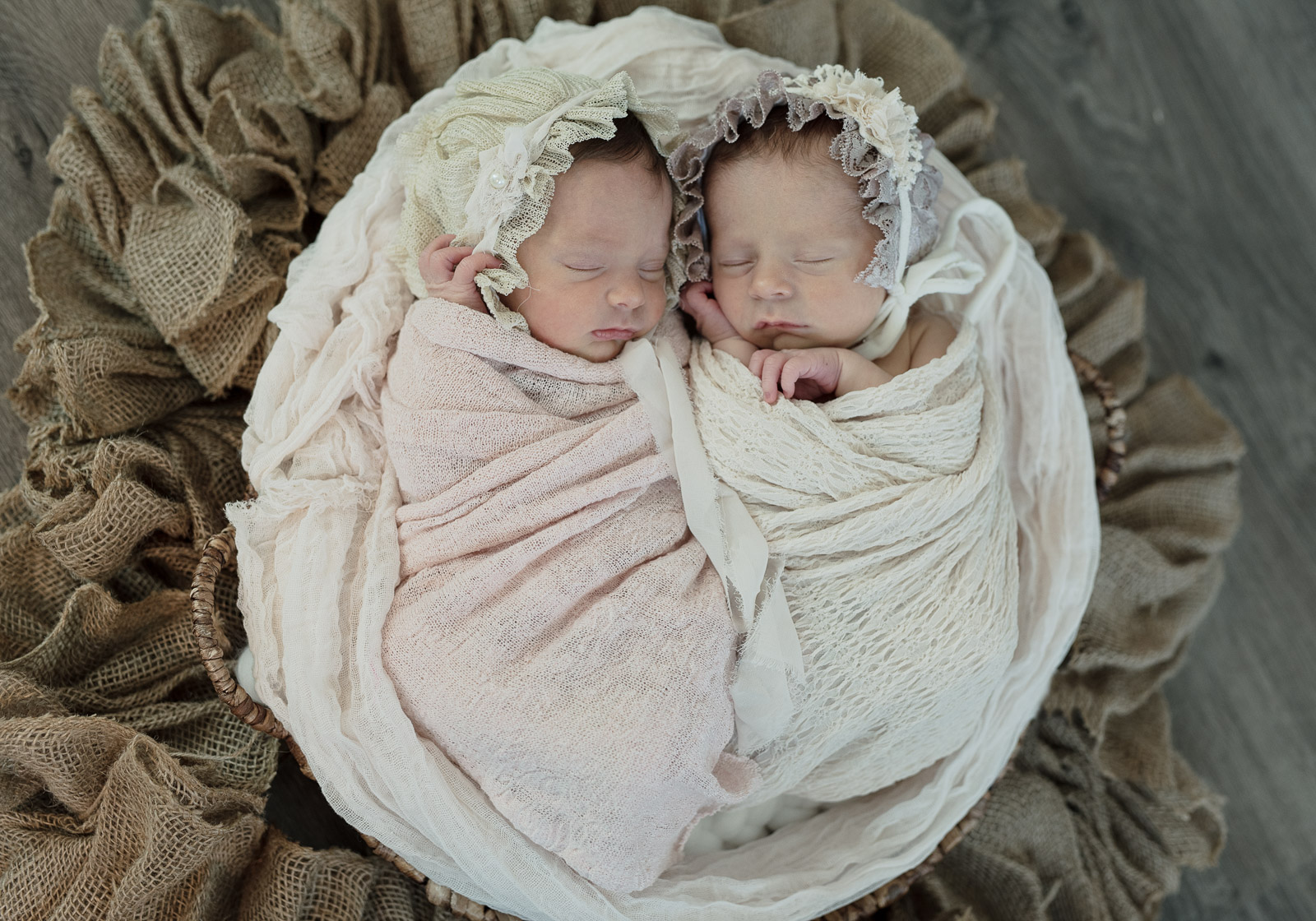 Newborn Portraits