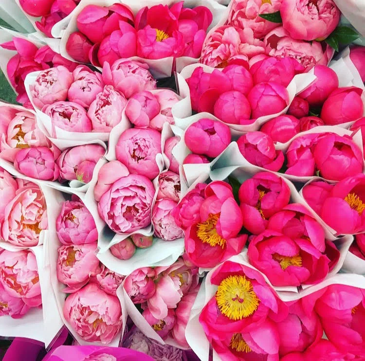 Floral Fridays