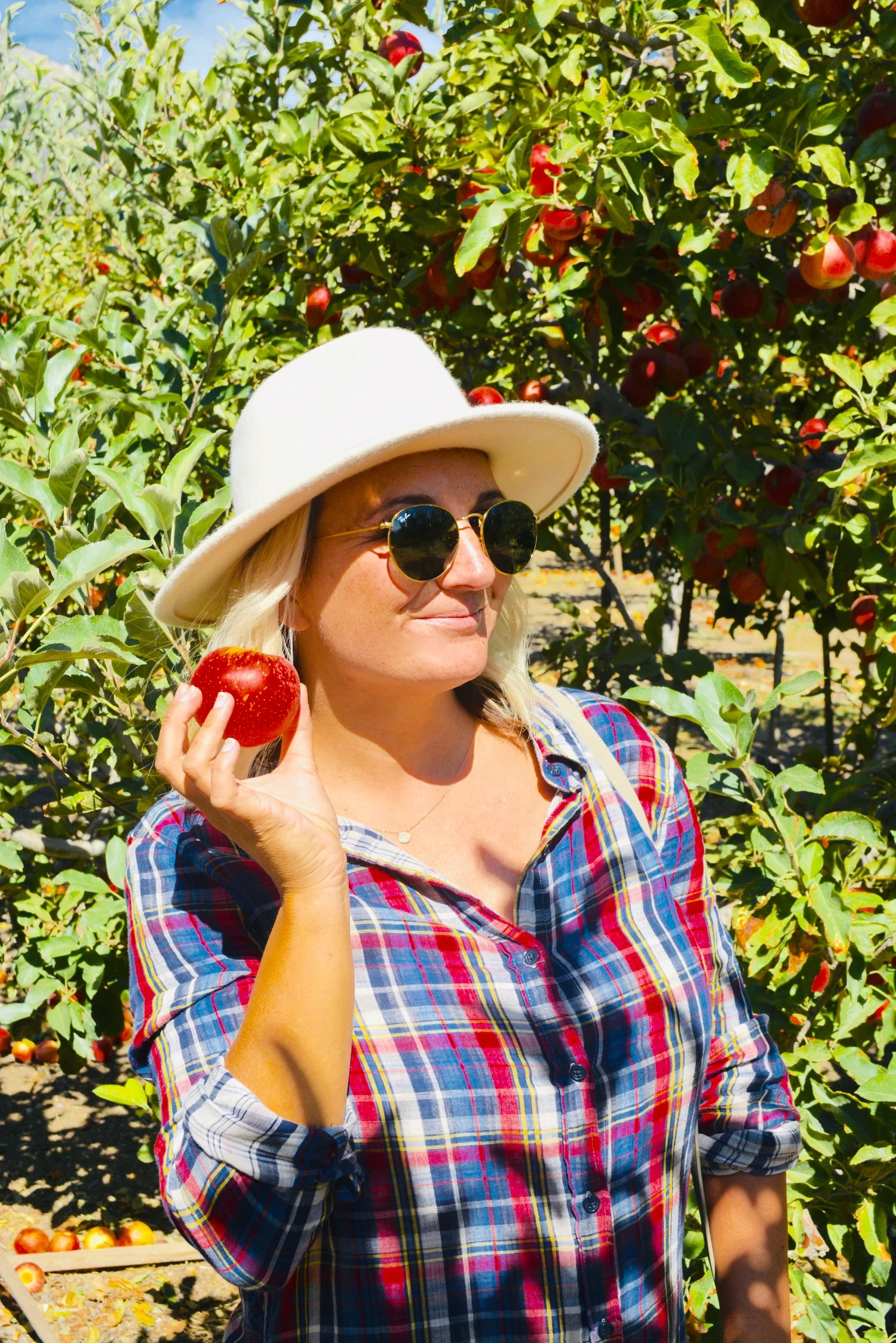 apple plucking + pitstops 