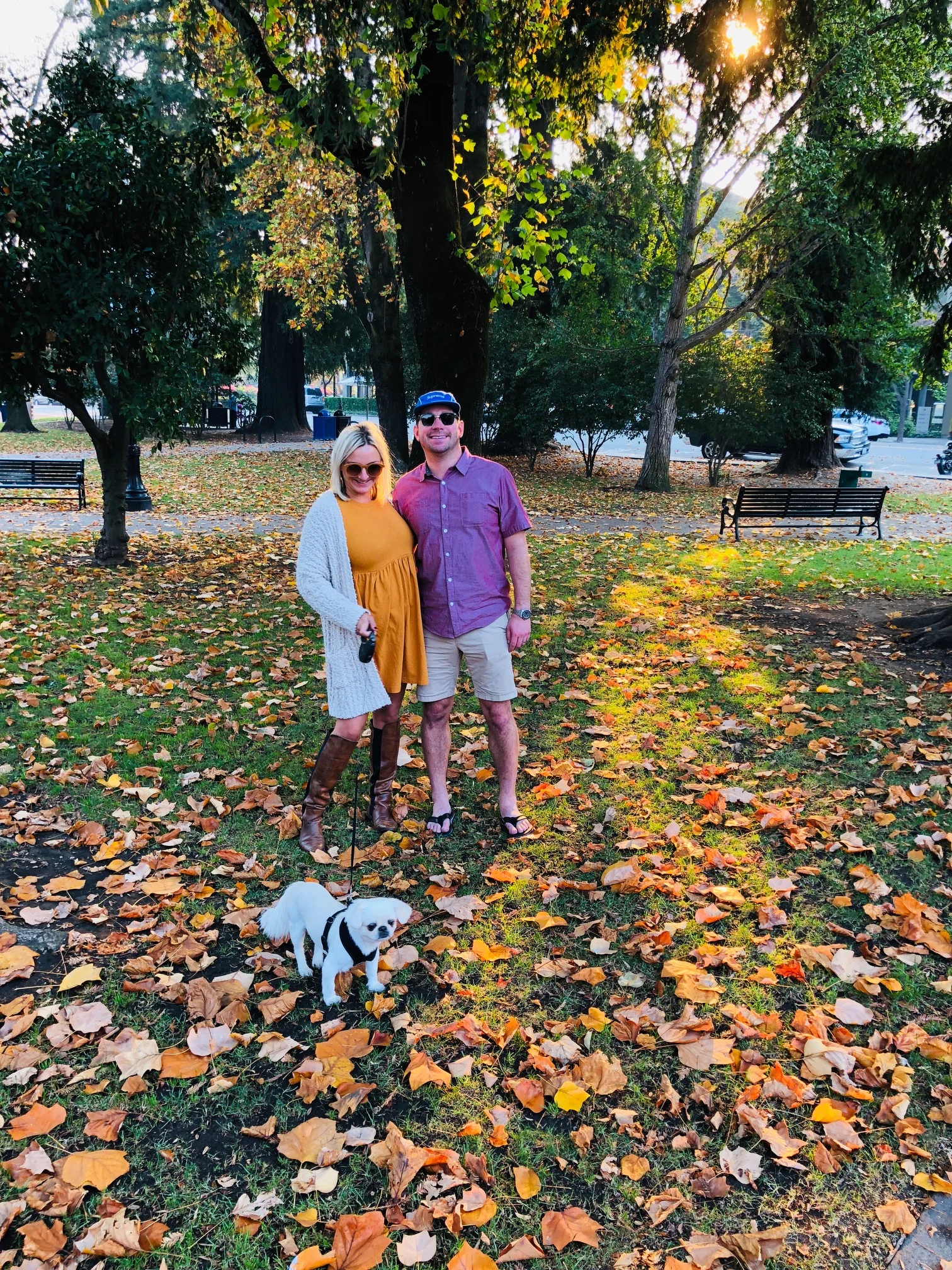 pregnant in wine country