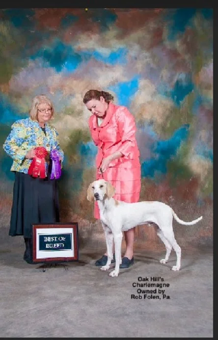 hills breeders club