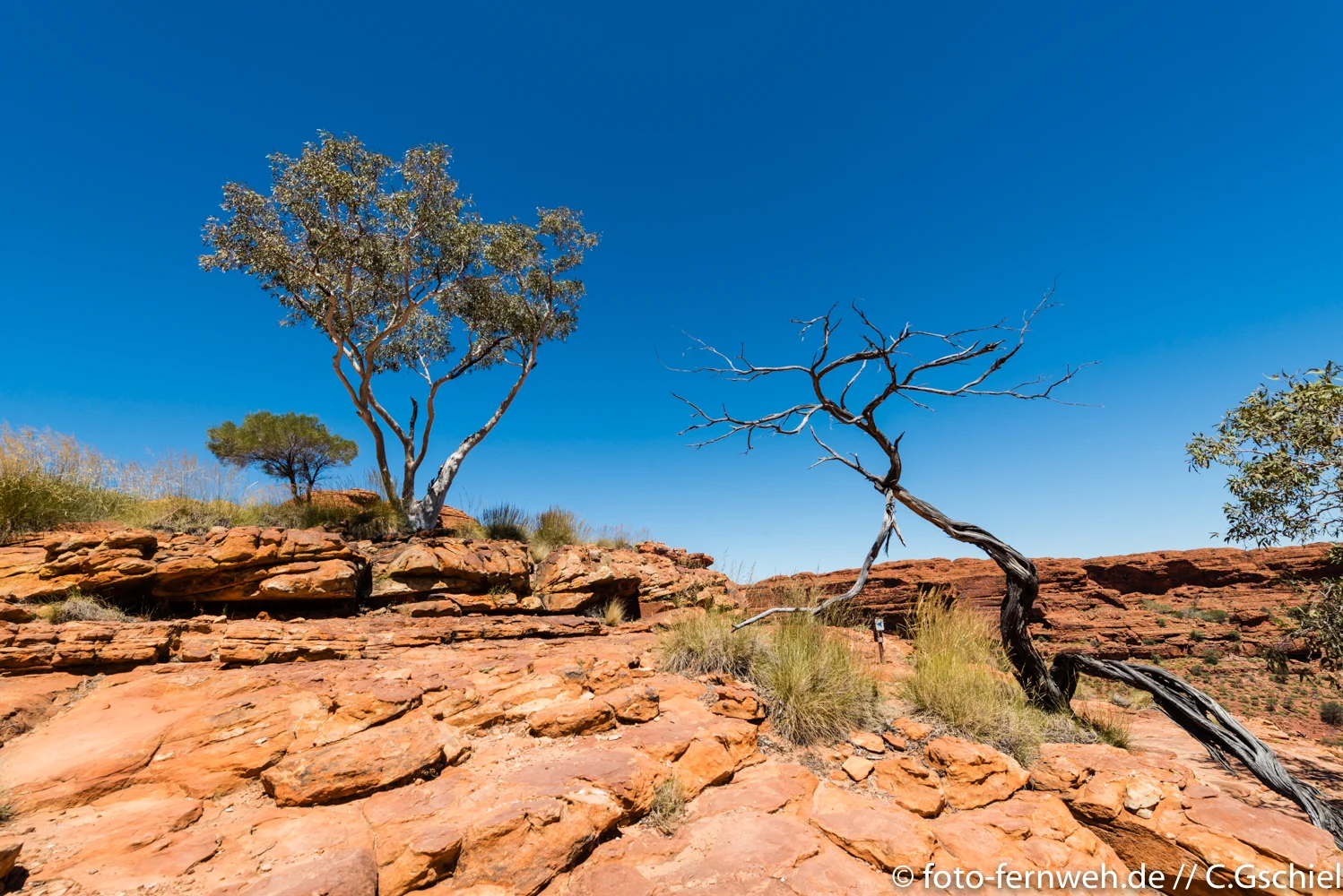 Kings Canyon - Red Center/ Australien