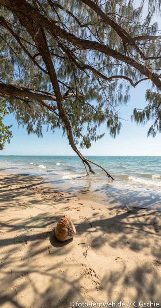 Port Douglas/ Cape Tribulation - Queensland/ Australien