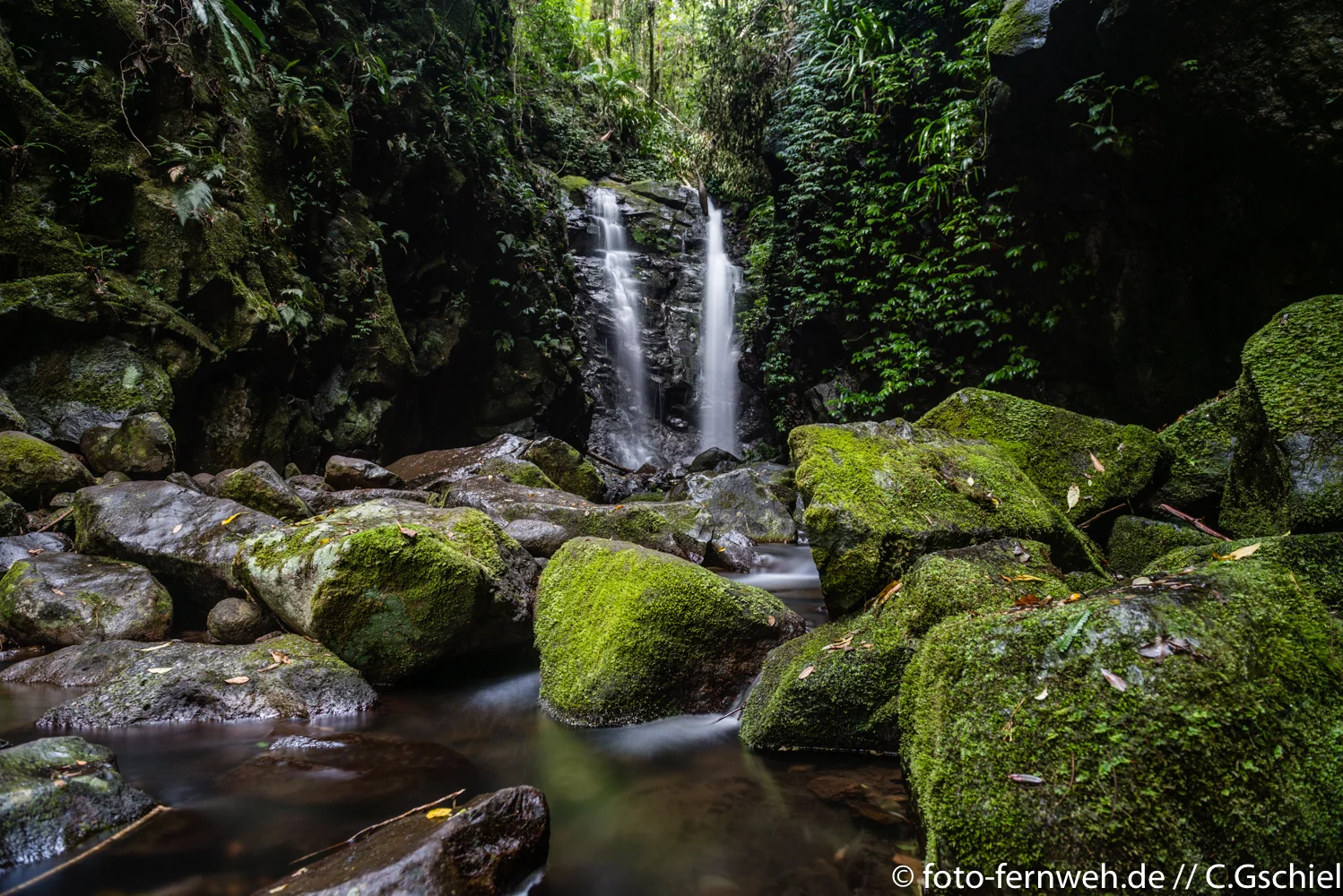 Box Falls/ Laminton NP - O'Reilly/ Queensland/ Australien