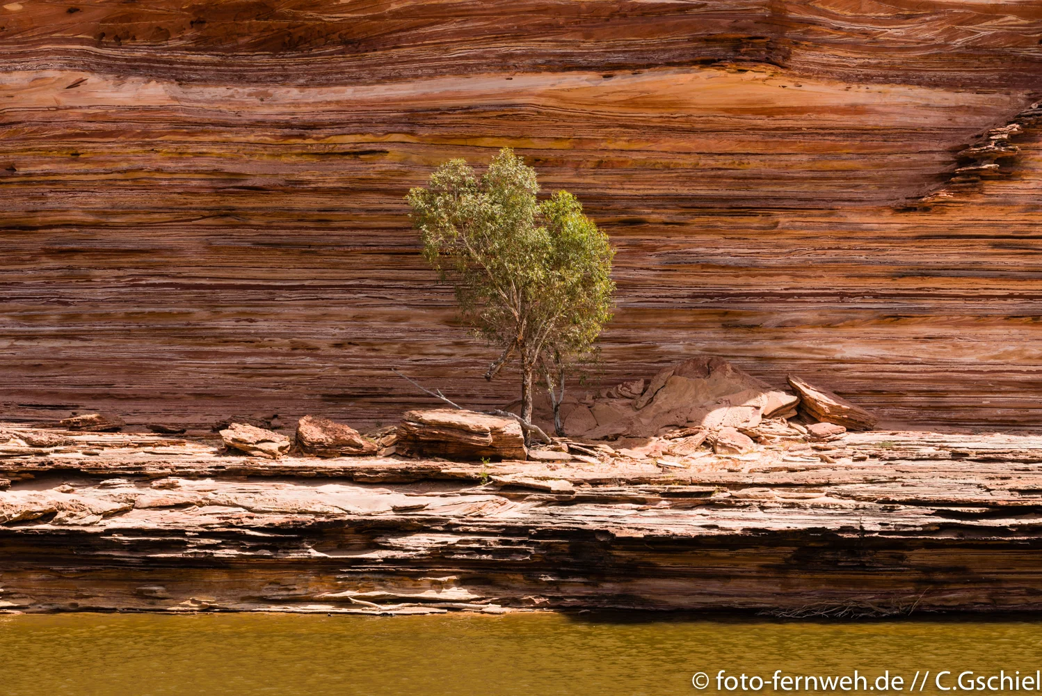 Kalbarri NP - Australien - 27°32'57" S 114°26'35" E