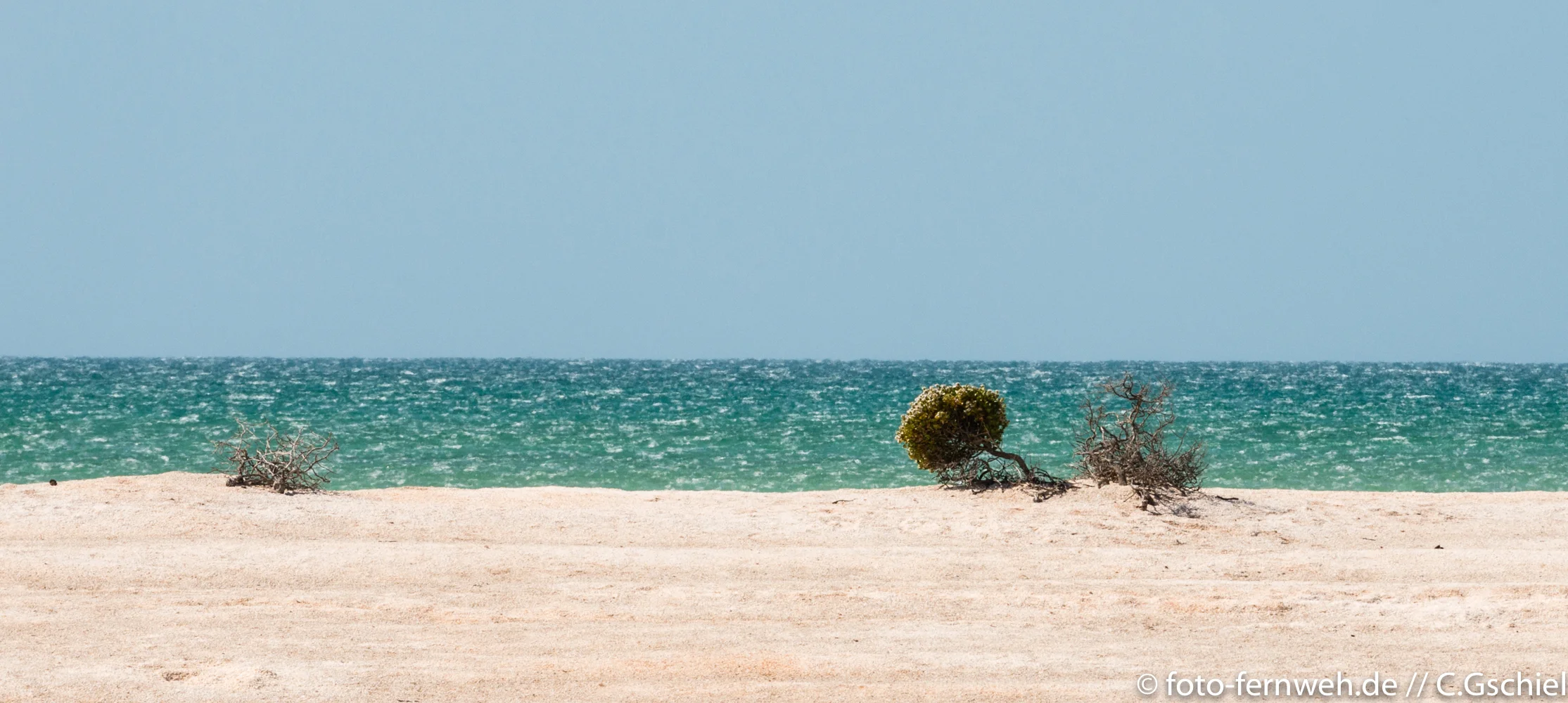 Shell Beach - Australien - 26°12'57" S 113°46'39" E