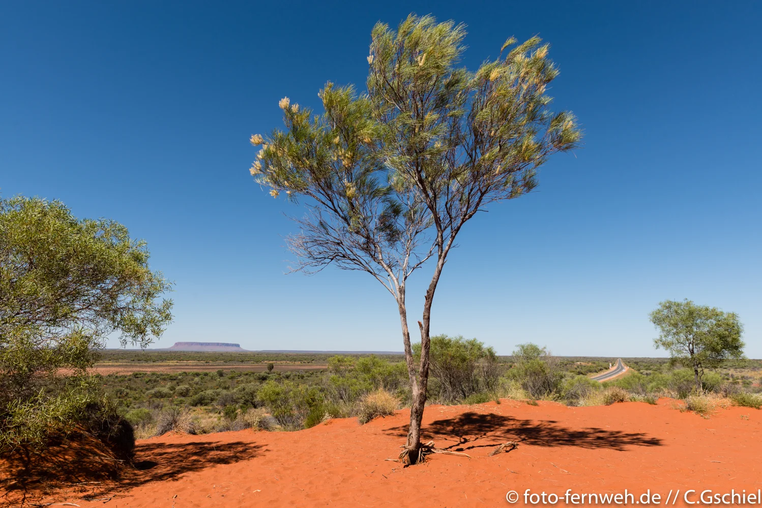 Red Center - Australien - 25°18'20" S 131°56'22" E