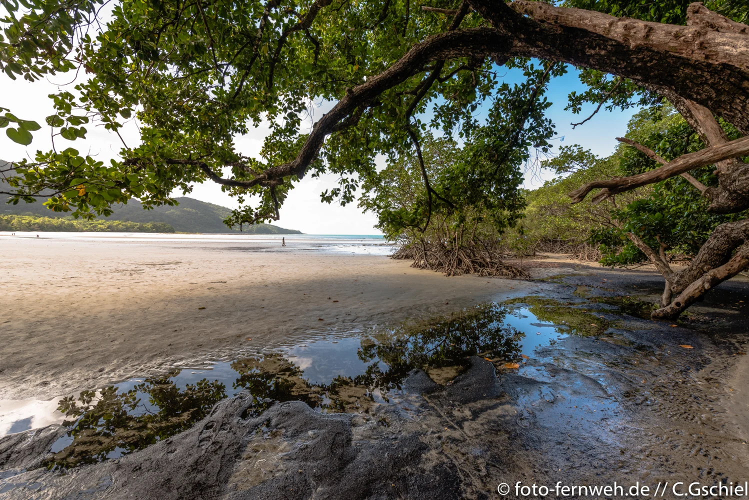 Cape Tribulation - Australien - 16°4'35" S 145°28'18" E
