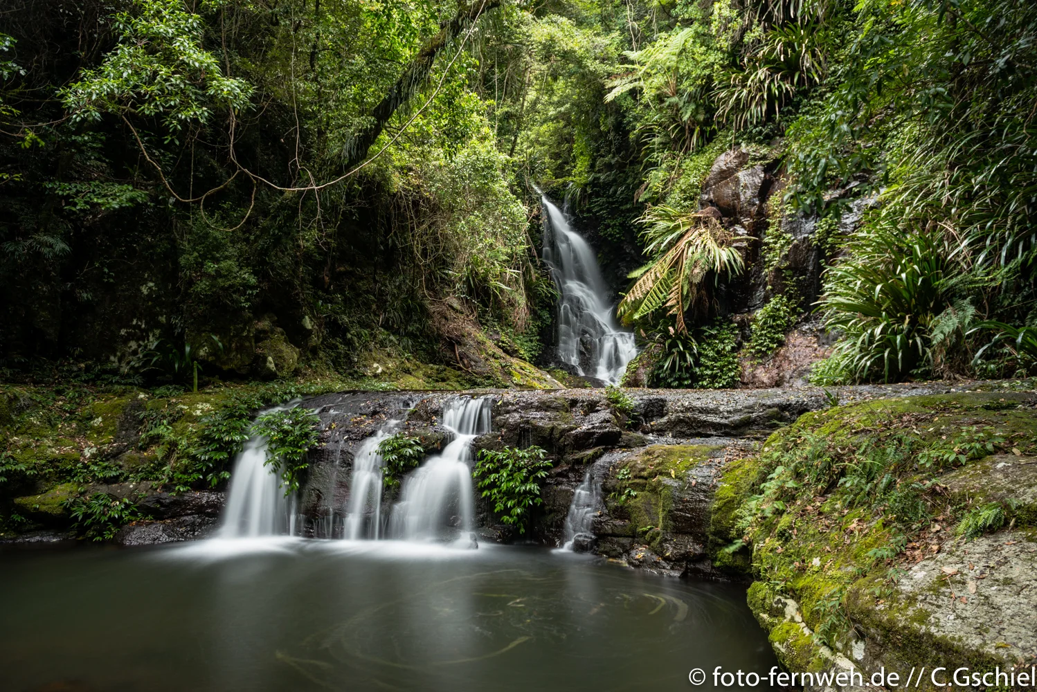 Lamington NP - Australien - 28°14'37" S 153°9'10" E