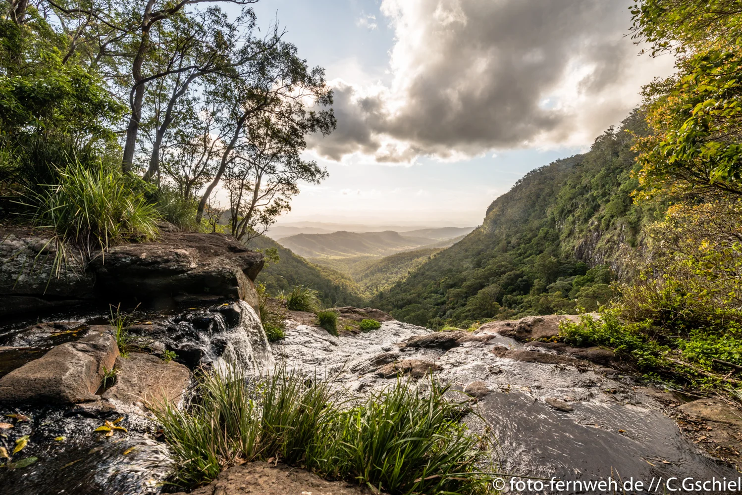 Lamington NP - Australien - 28°13'55" S 153°7'32" E