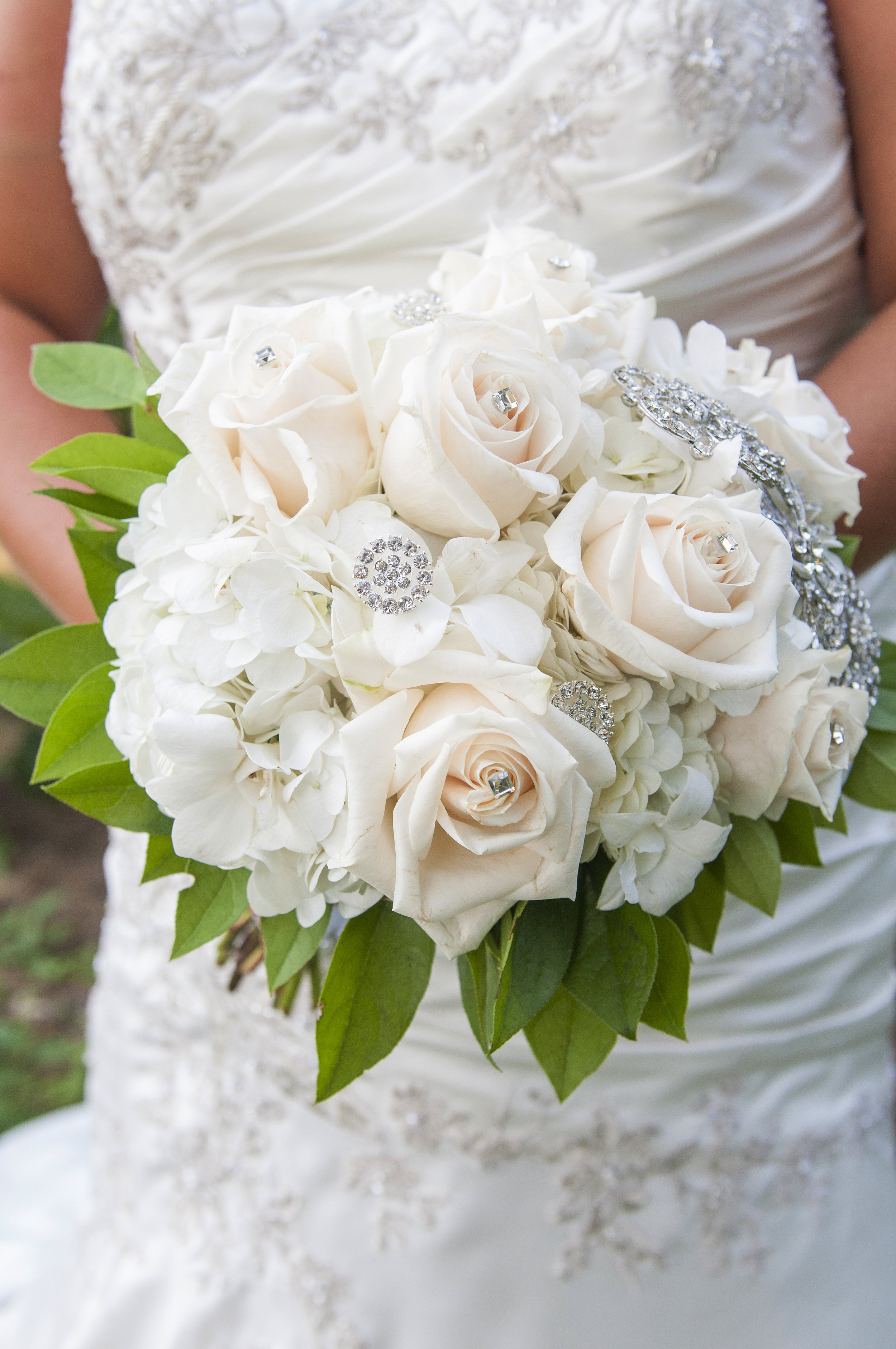 __1fav_DSC_0870.jpg