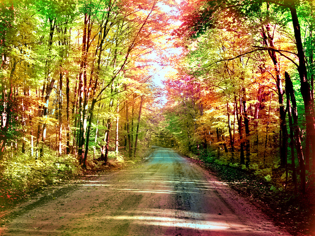 seasons_change_wallpaper_syobj.jpg