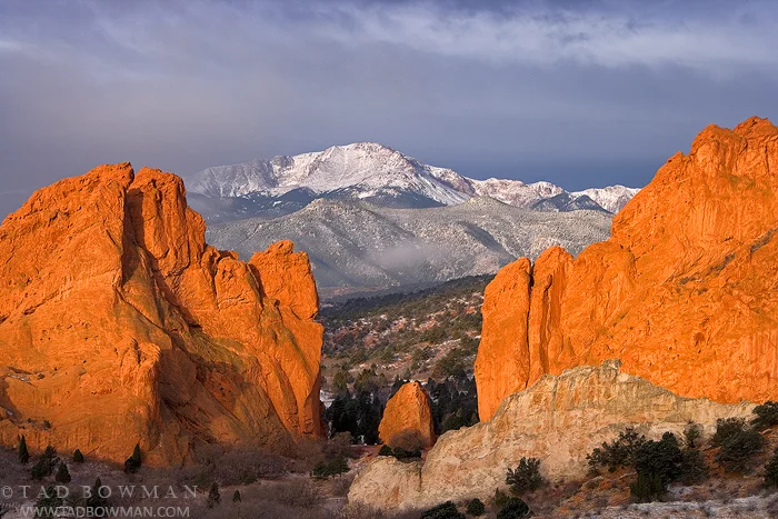 The Walking In-Between