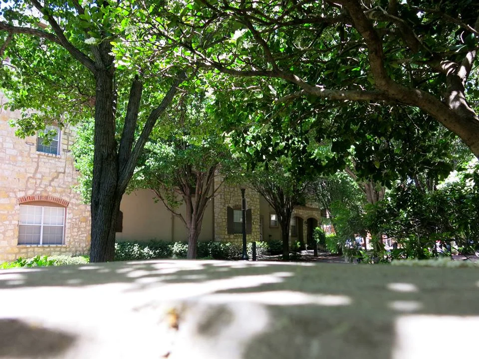 Self Care vol. 3: Never Stop Investing