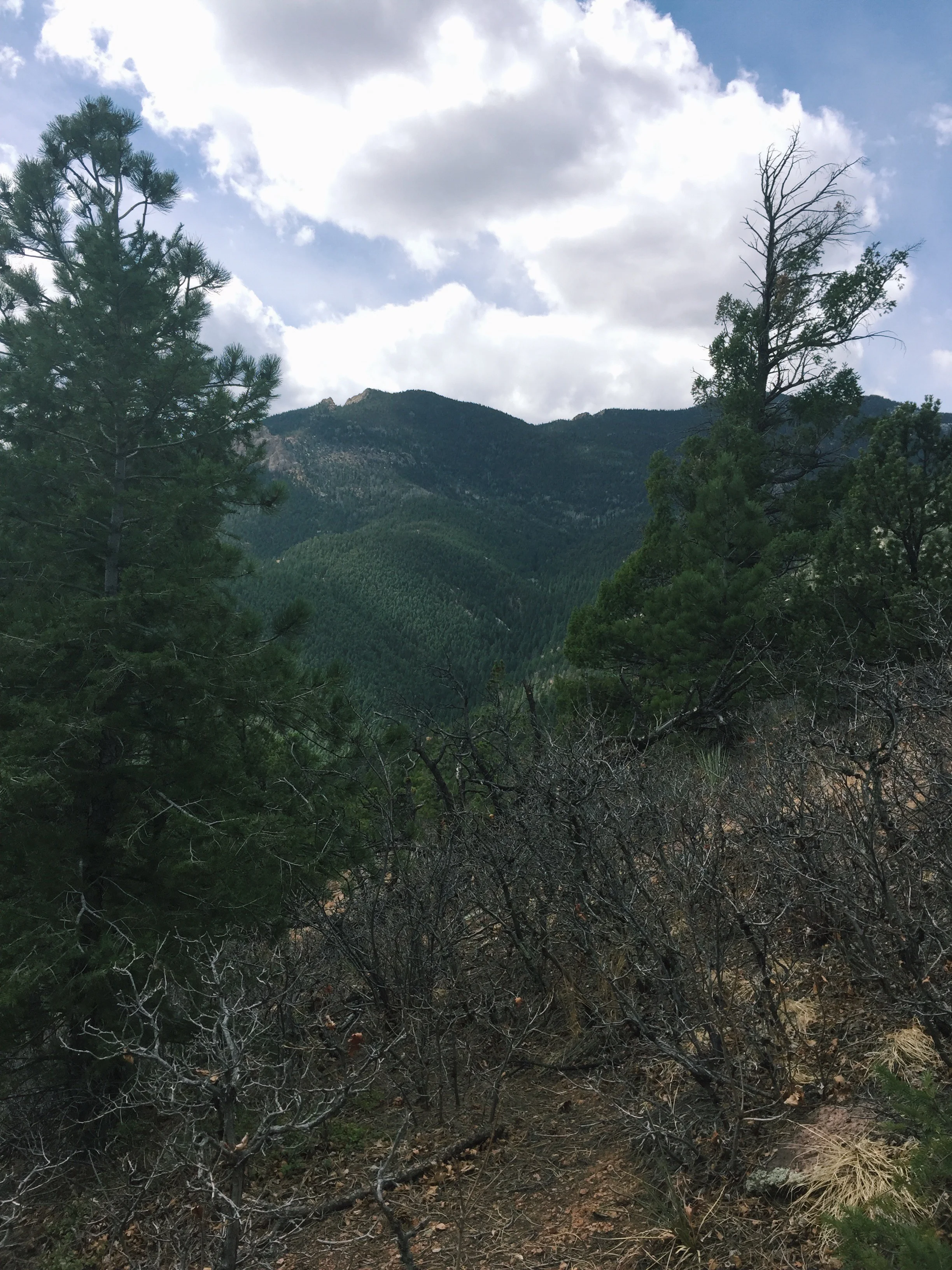 Leaning into the Unknown