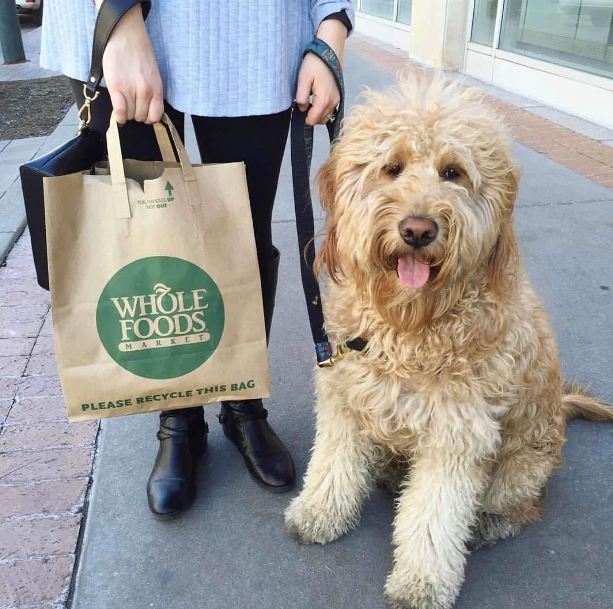 The Ultimate Grocery Shopping Guide