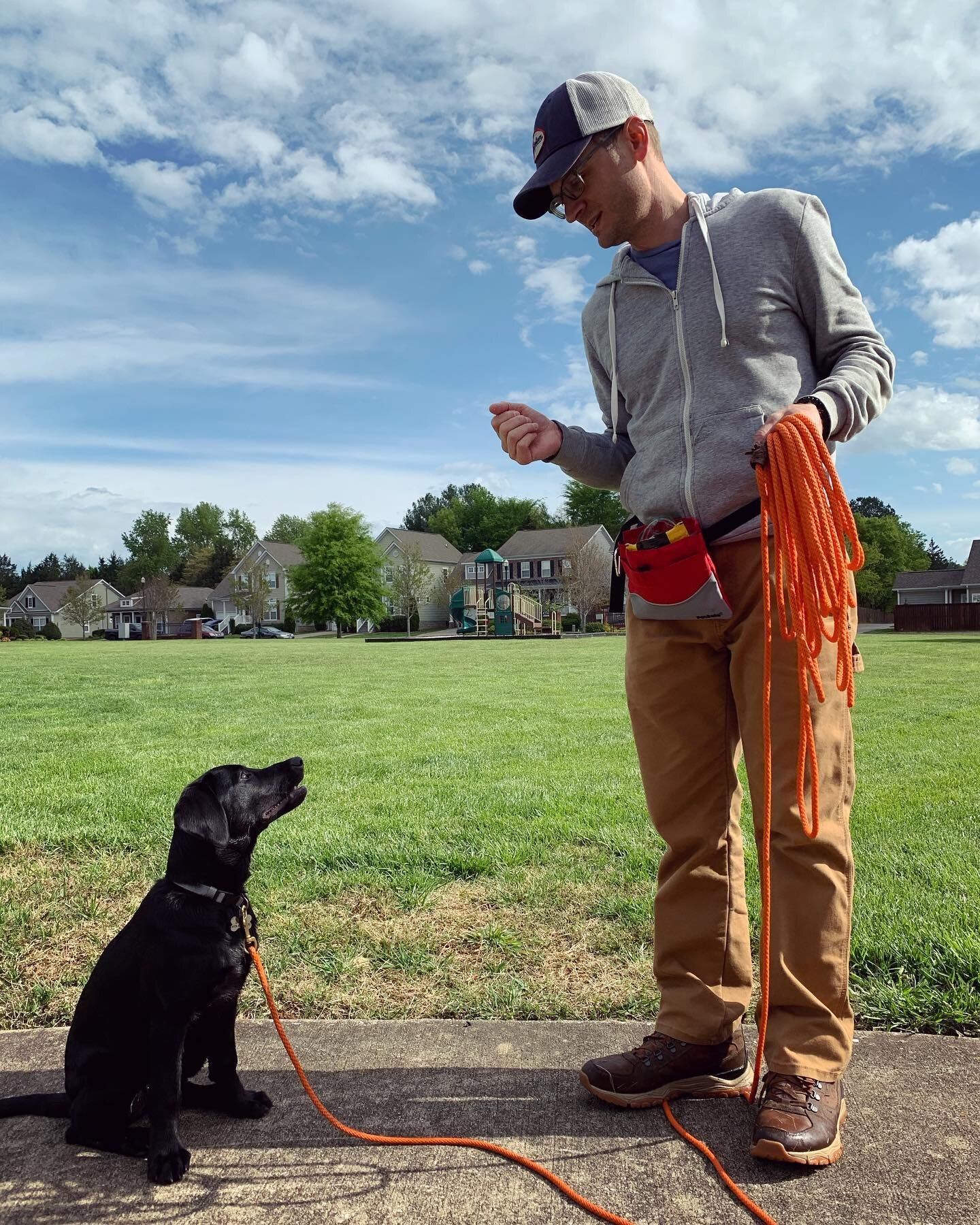 Sunday morning training session with the pup. #blacklabsofinstagram #labsofinstagram #puppylife