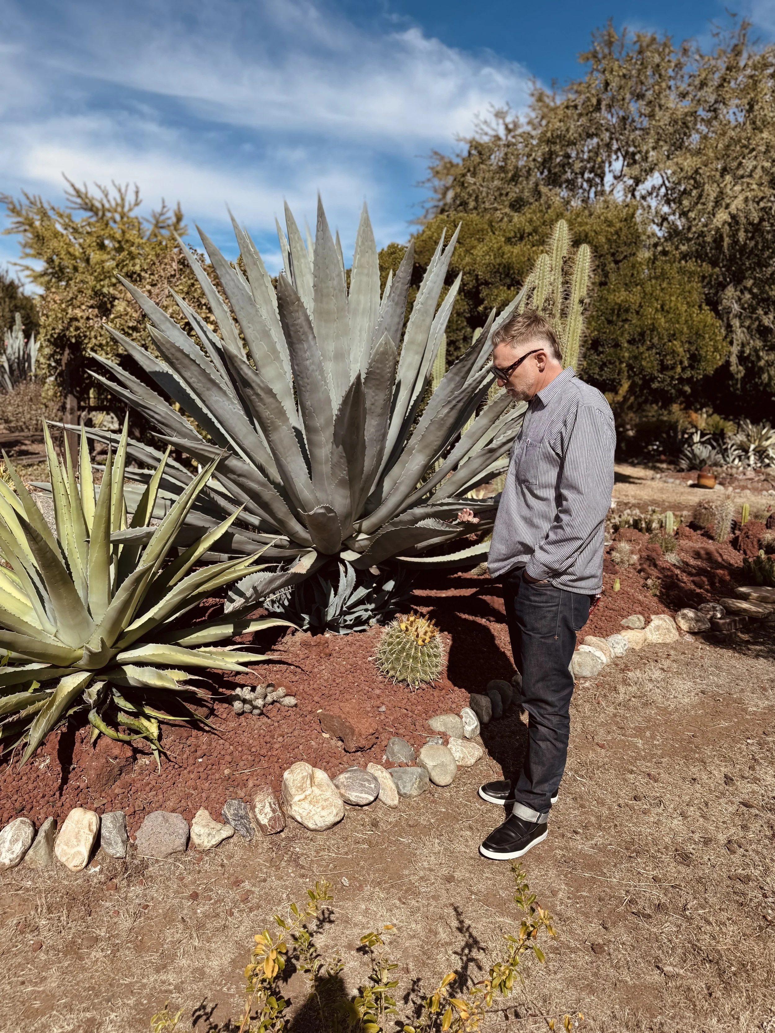 A man wearing glasses and a gray striped shirt is standing next to a large agave plant and a smaller cactus in a desert garden with other cacti and desert plants in the background under a blue sky with clouds.