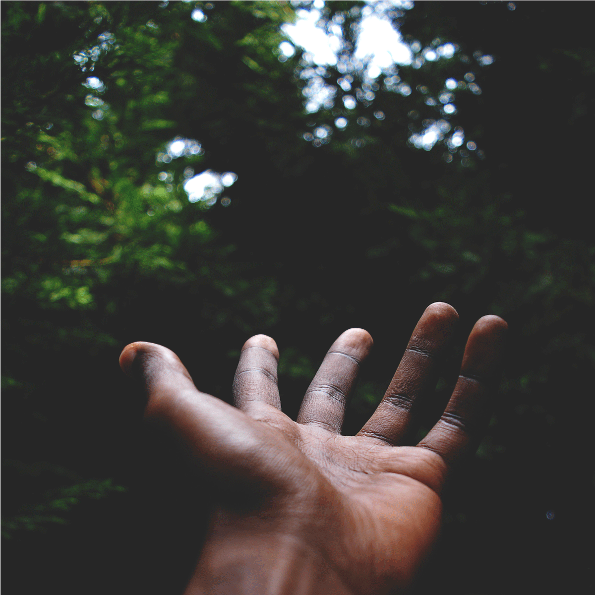 embracing-the-journey.gif