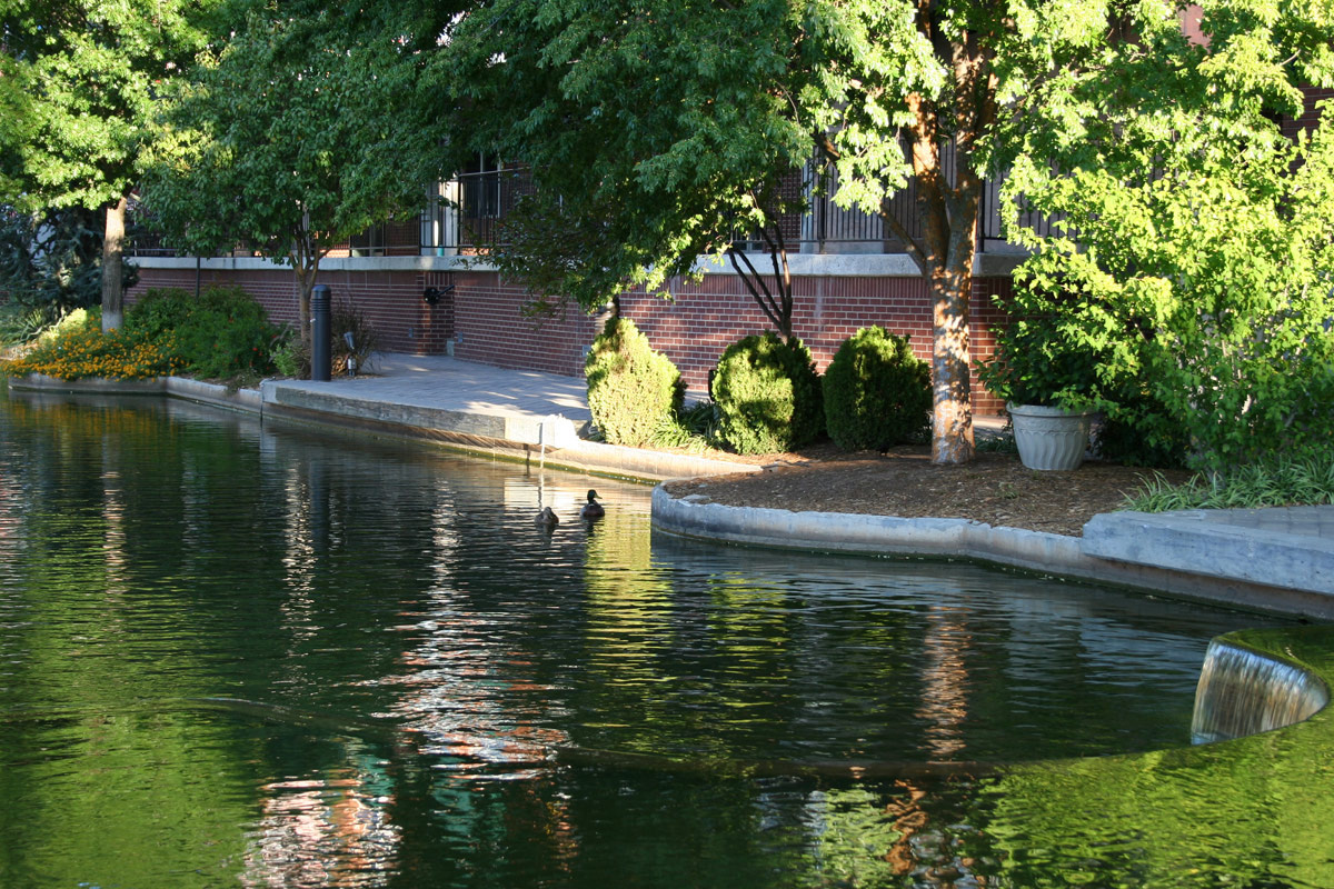 RiverwalkBanner.jpg