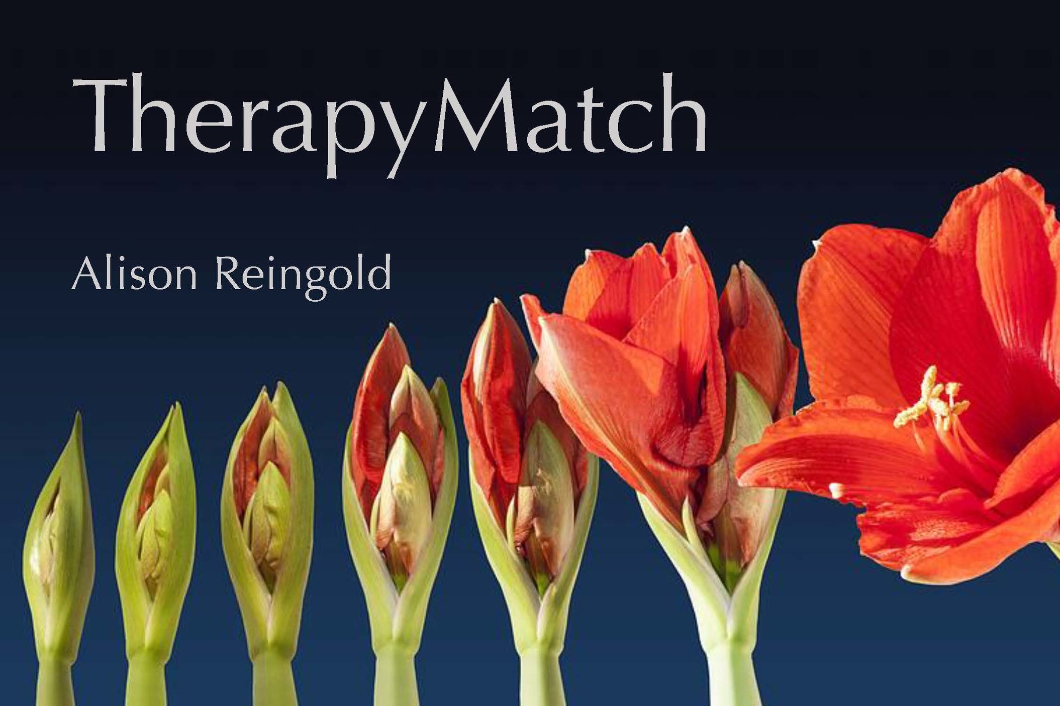  Therapy Match 