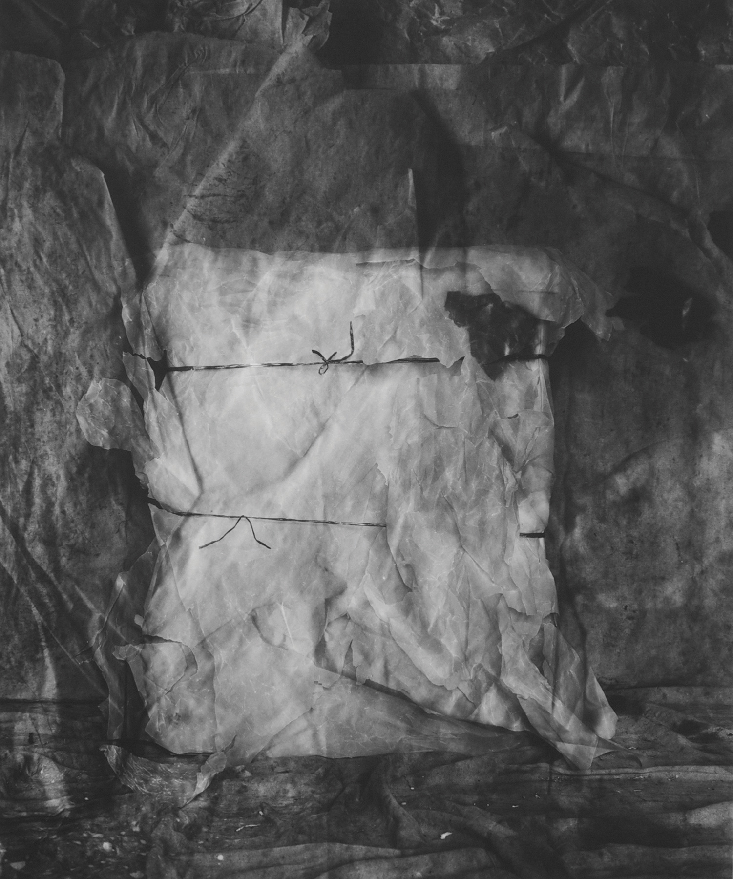 © Catherine Cameron