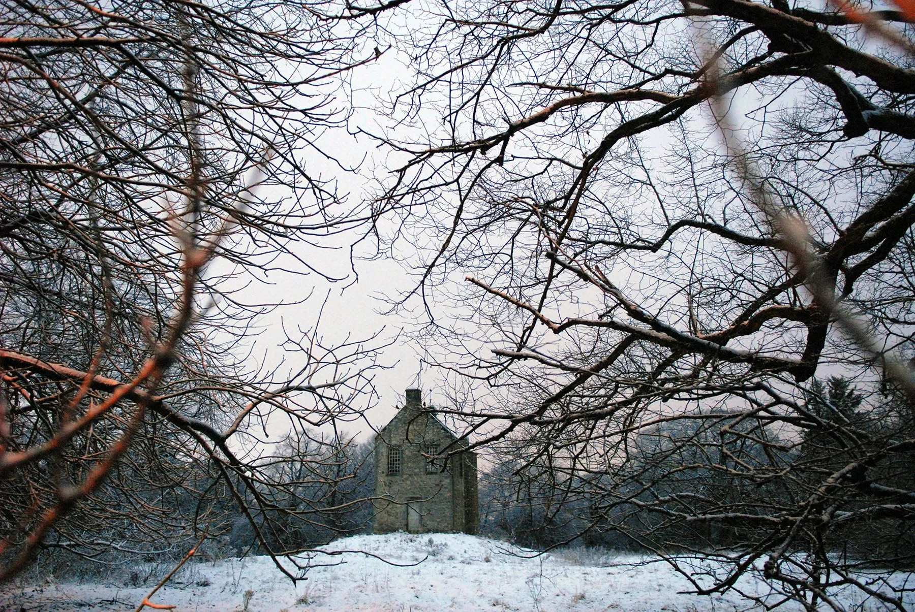 Morton Mains, Edinburgh, Scotland // © Sheila Masson
