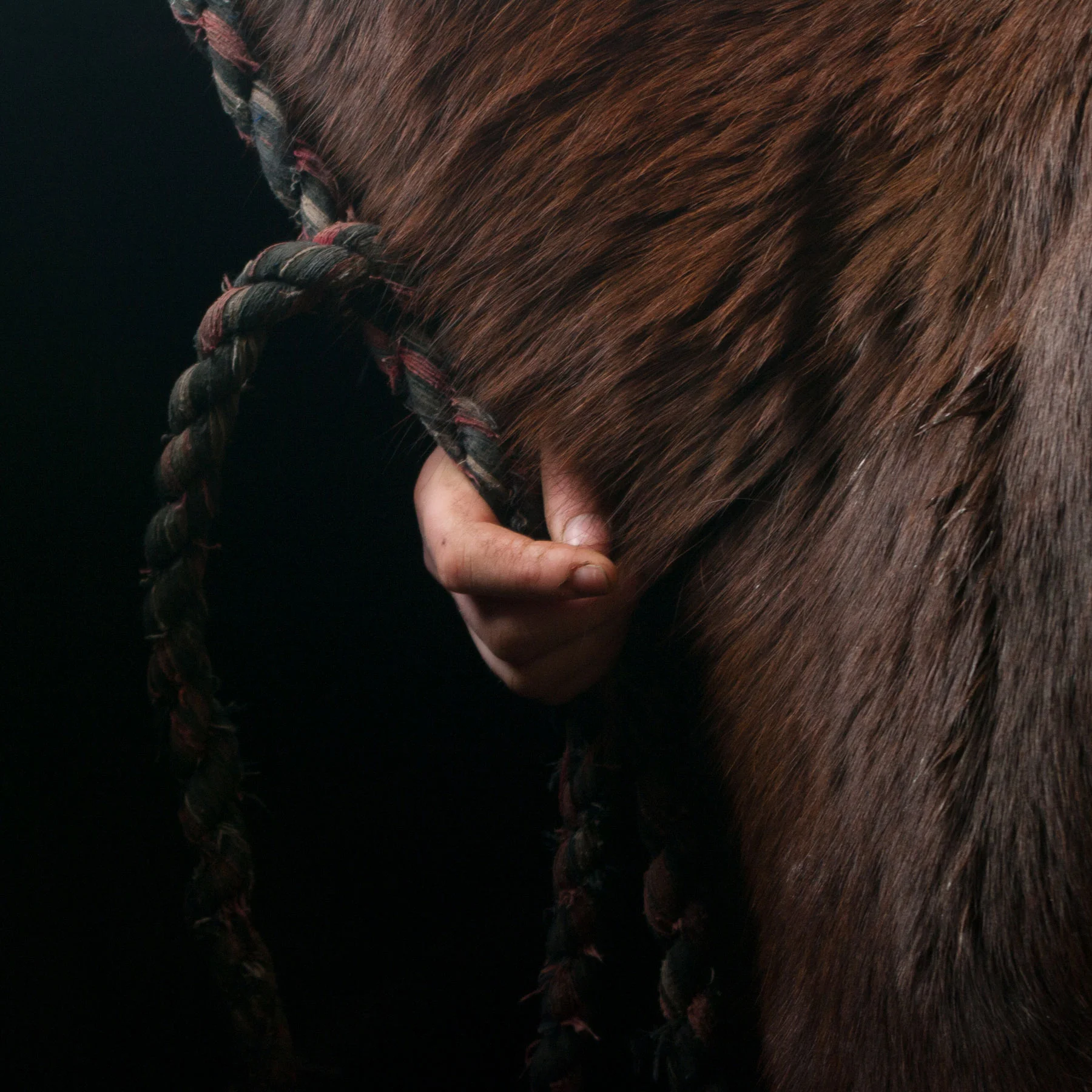 From the series Crosskennan // ©Zoe Hamill