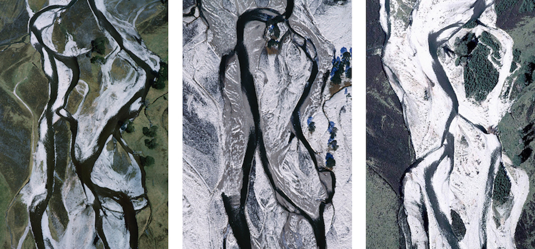 Braided river & pines, Glen Feshie, Cairngorms, Scotland (time-lapse triptych), 1988-2016 // © Patricia Macdonald & Angus Macdonald