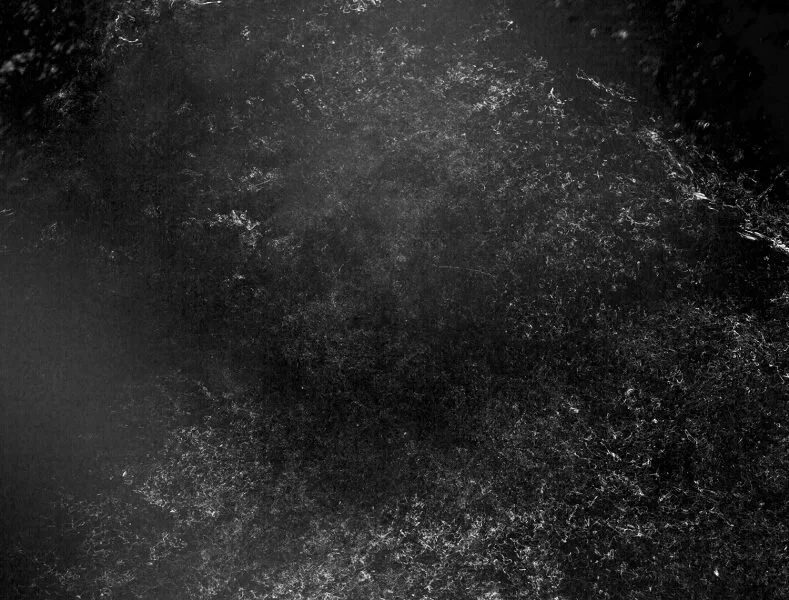 Fernanda KockFernanda Kock is a Brazilian fine art photographer based in New York. Her photographic process is a blend between structured projects and photographs she takes spontaneously, experiencing life. The combination of method and research wit…