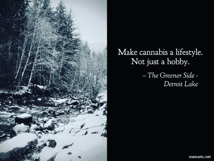 make cannabis a lifestyle.jpg