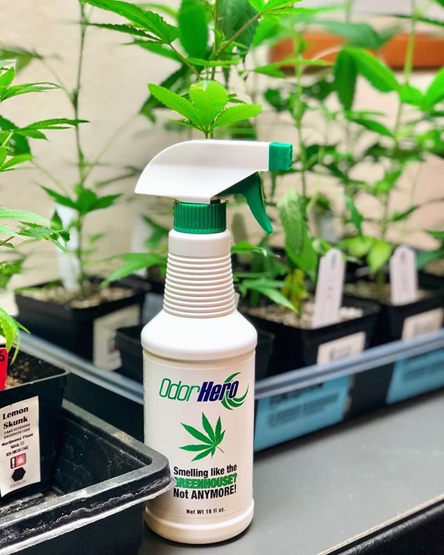 Tired of showing up to work or social engagements smelling like a greenhouse? We&rsquo;ve got you covered! Odor Hero is a non-toxic, environment friendly odor eliminator that gets rid of that distinct scent you may be carrying 🌬the best part is that