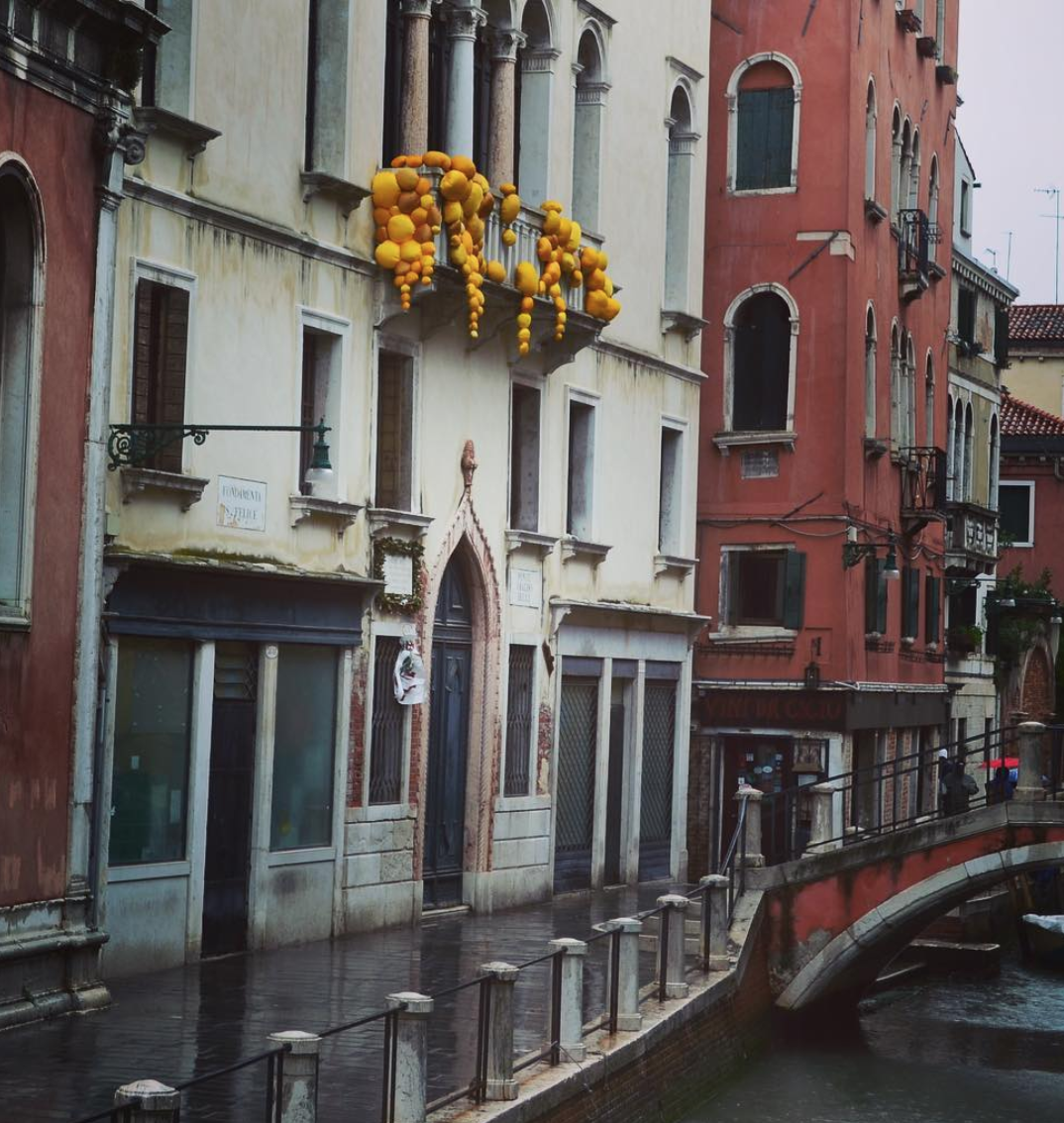 Silk Road (Installed at the 58th Venice Biennale at Palazzo Mora)