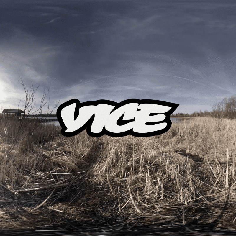 vice.gif