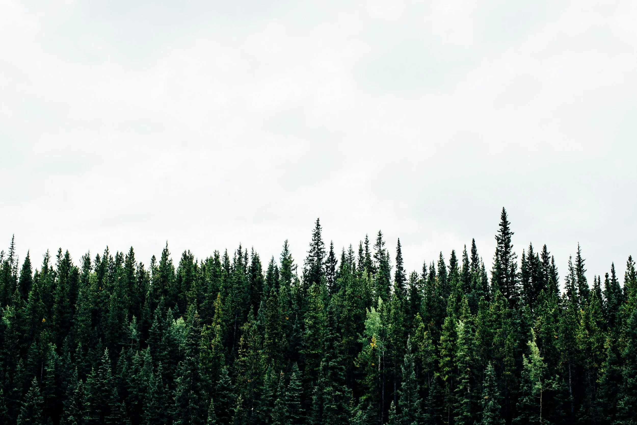 How to Create Evergreen Content That Drives Long-Term Results
