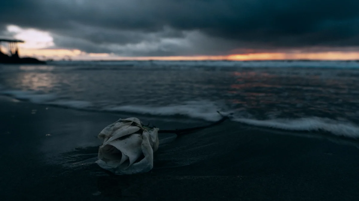 FXT25719.jpg