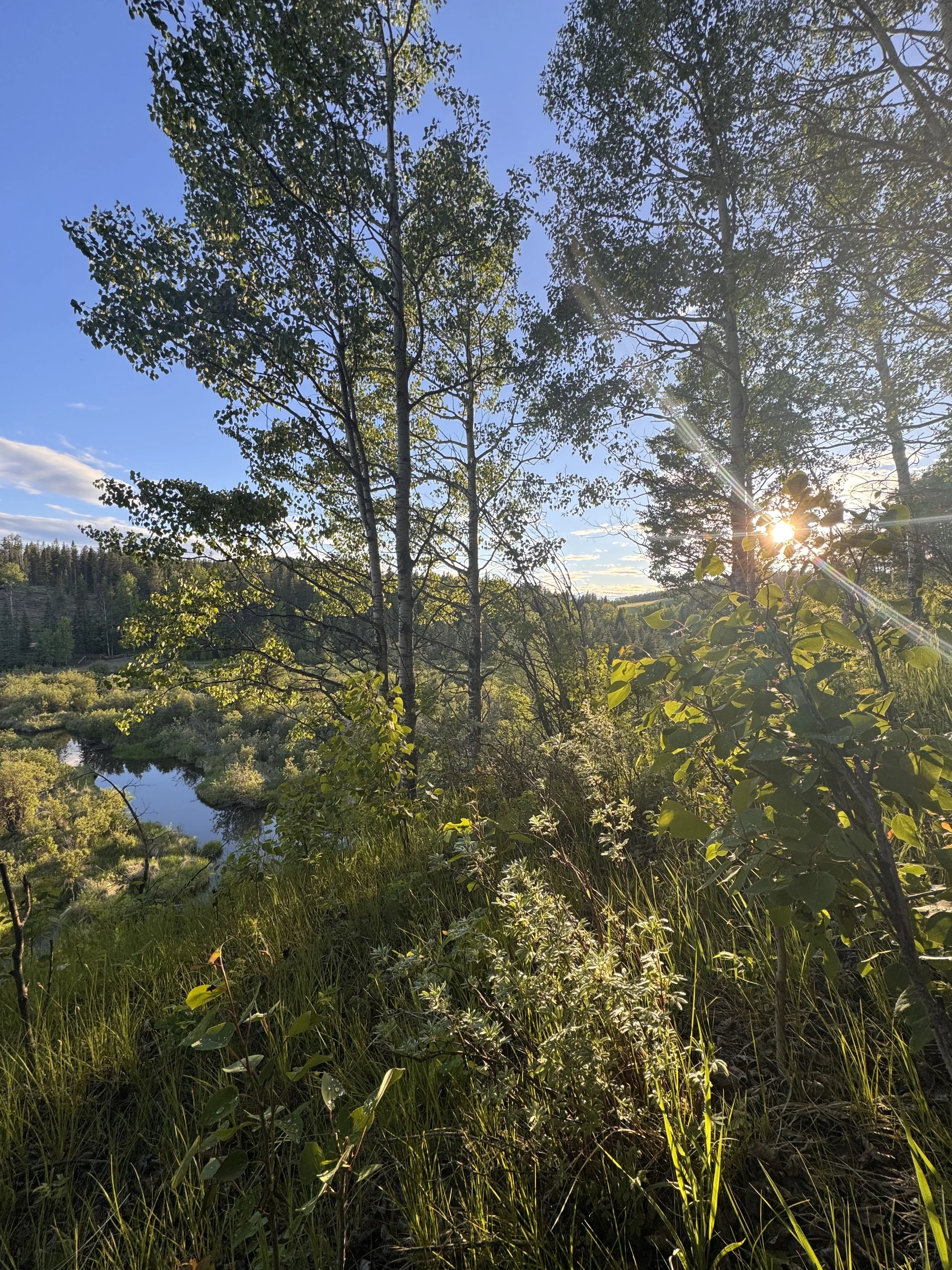 Magic, Miracles and Synchronicities: Birthing the Sanctuary of the Feminine