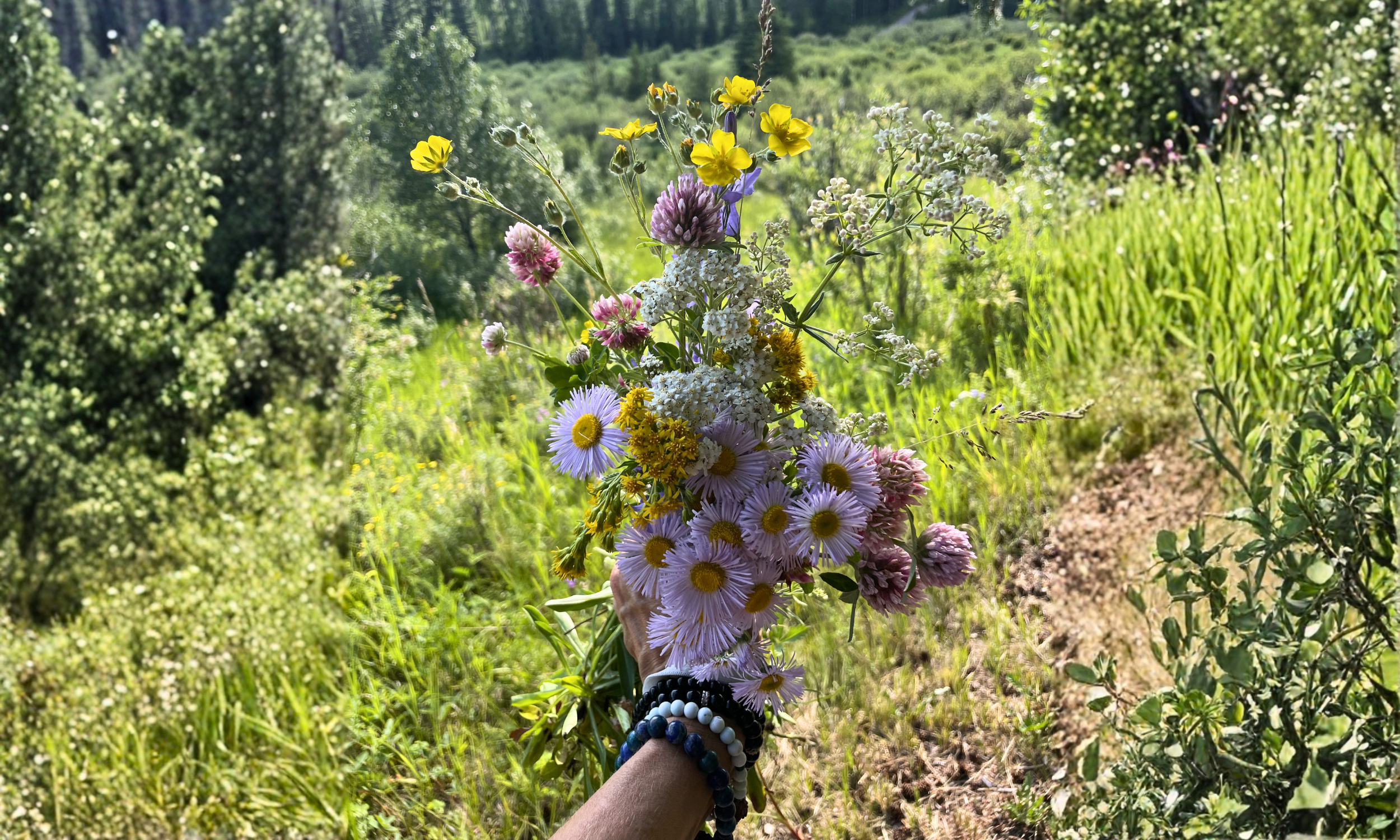 Awakening Possibility Banners (1).png