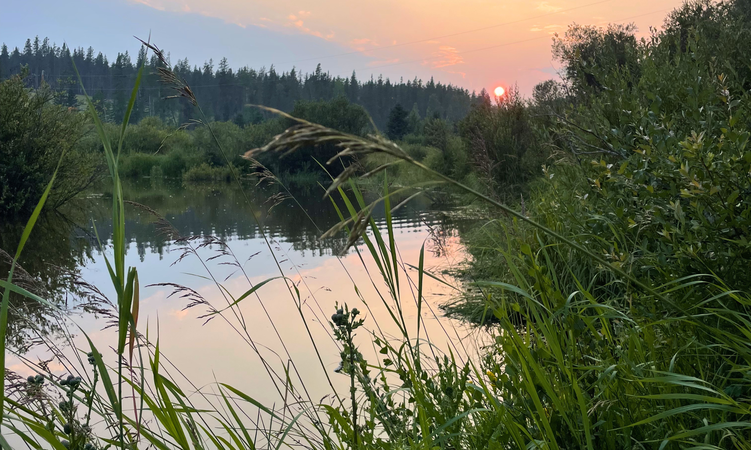 Awakening Possibility Banners (2).png