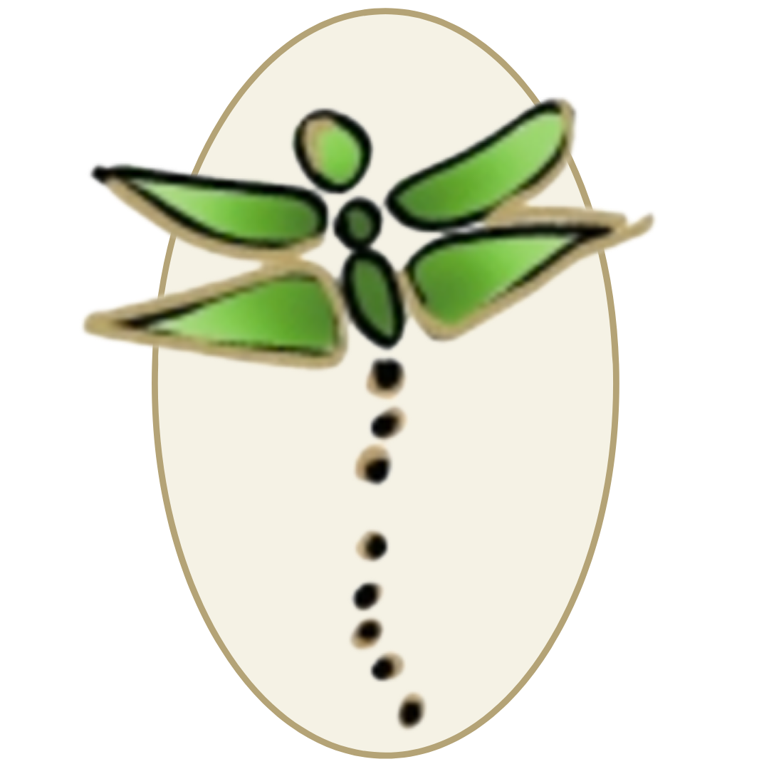 Awakening Possibility