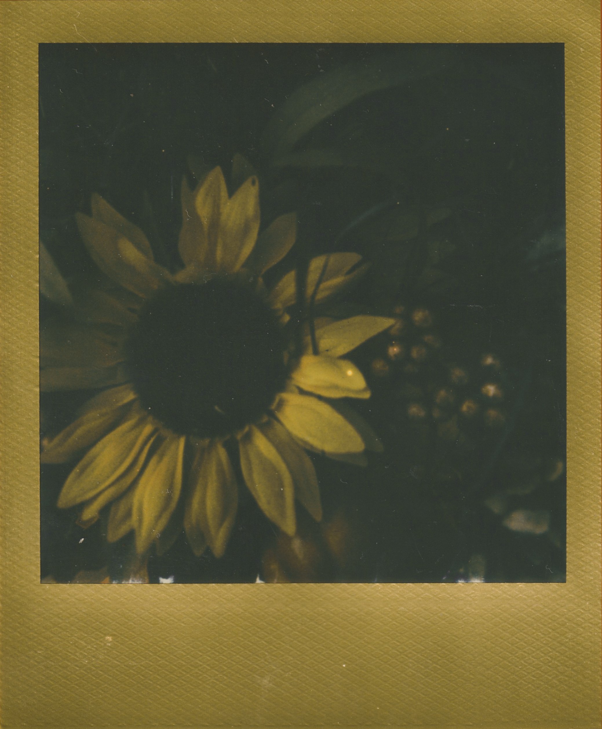 Scan 10.jpeg
