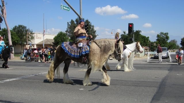  Star in the Norco Horse Week parade 
