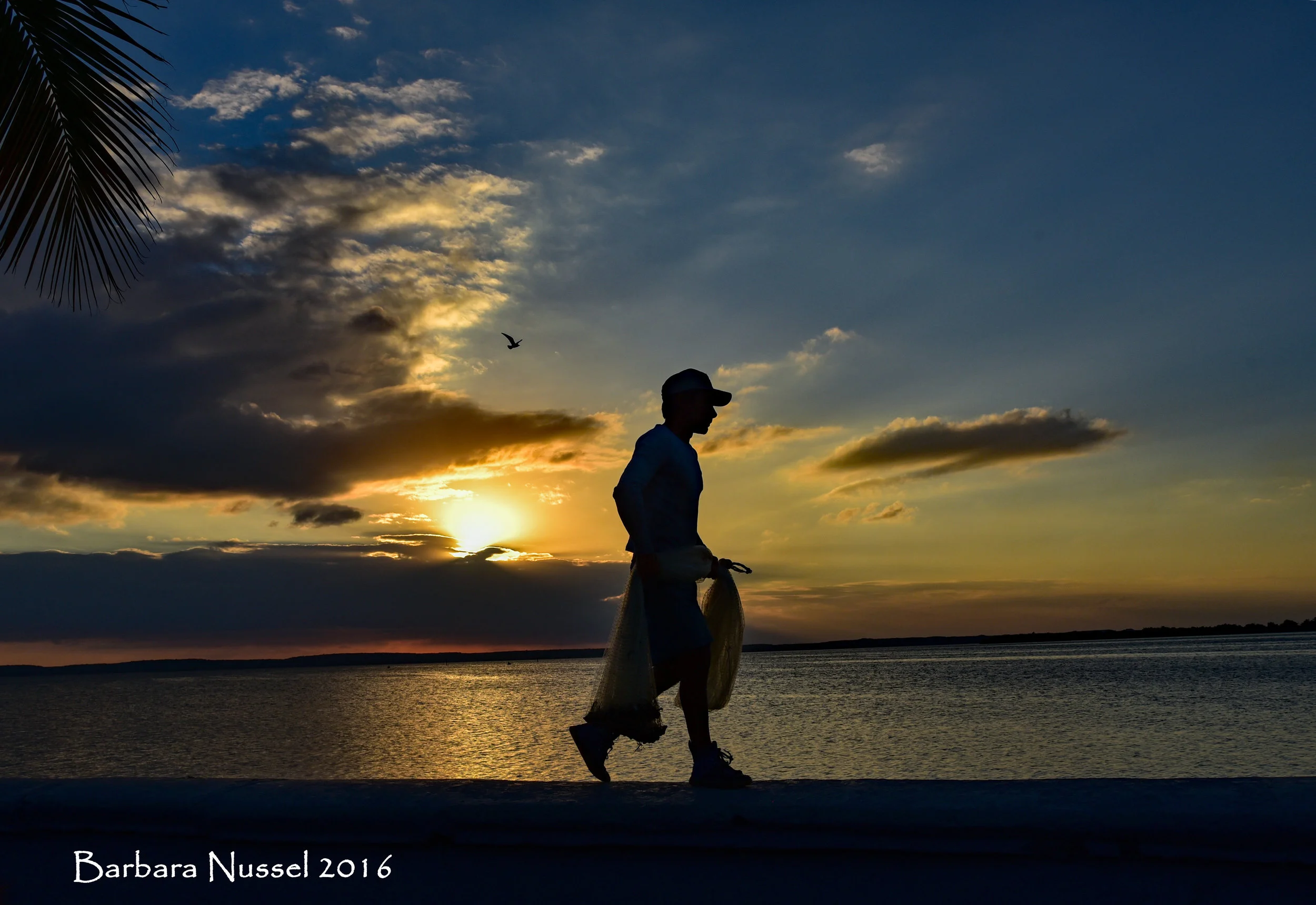 DSC_2590a_web.jpg