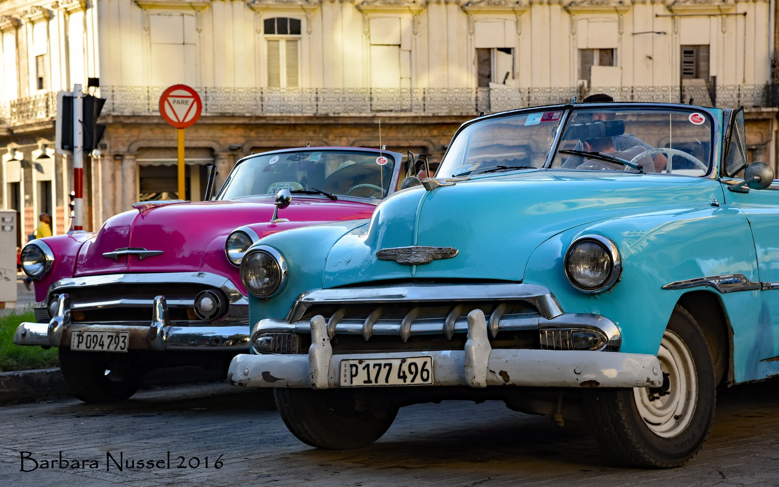 DSC_2696a_web.jpg