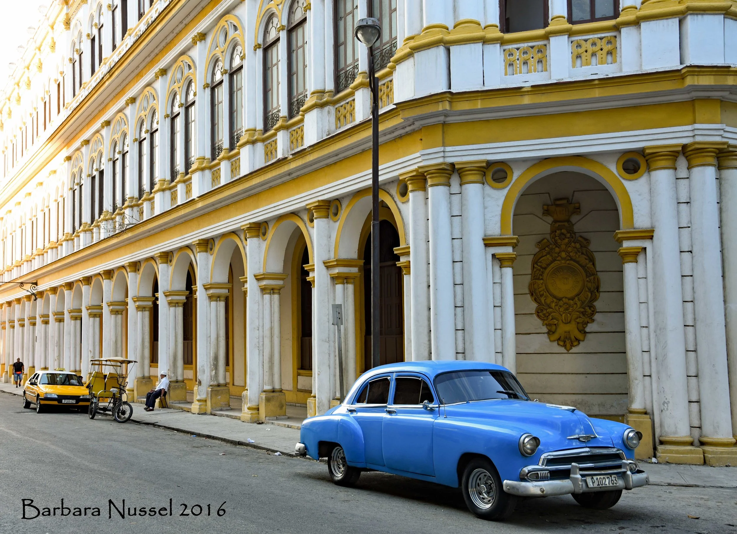 DSC_3102a_web.jpg